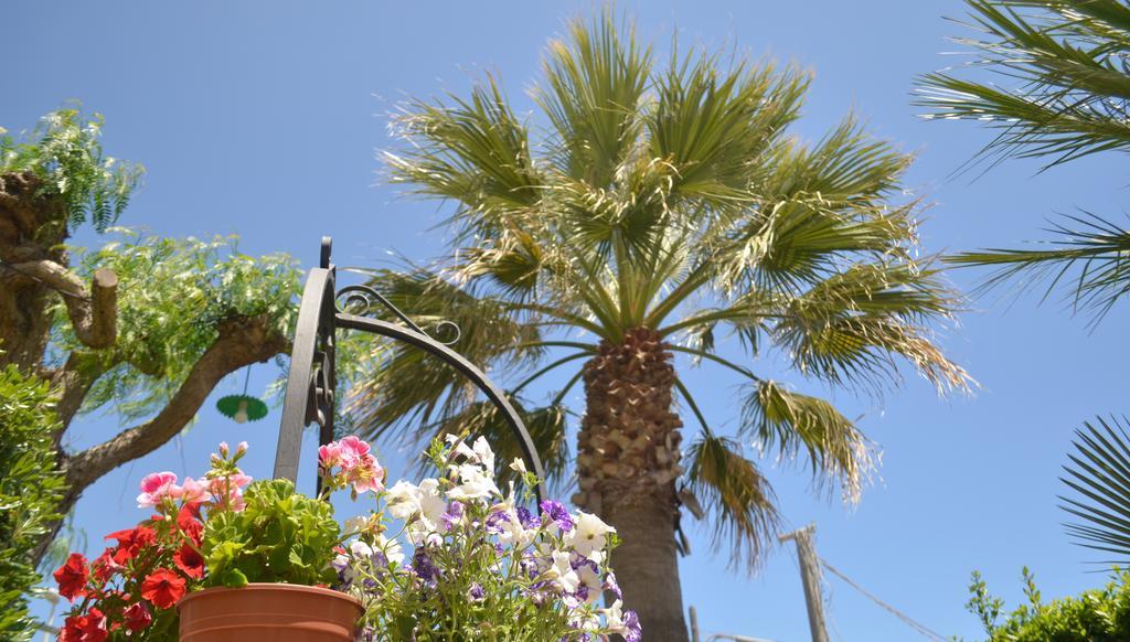 Ansise Guest House Lido di Noto Exterior foto